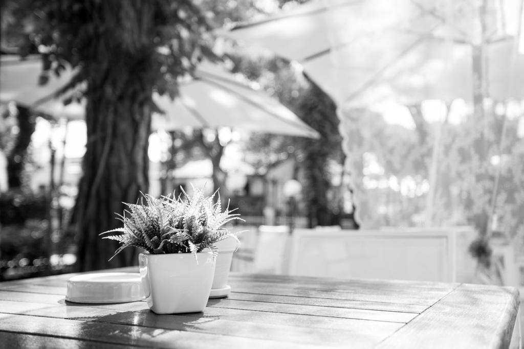 B&B Isabella Milano Marittima Ngoại thất bức ảnh